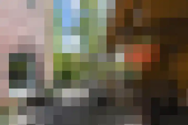 Koningin Julianastraat 38 Nootdorp thumbnail 9