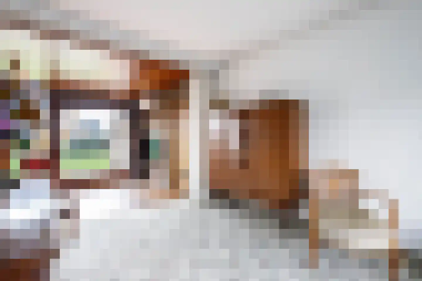 Koningin Julianastraat 39 Berkenwoude thumbnail 13