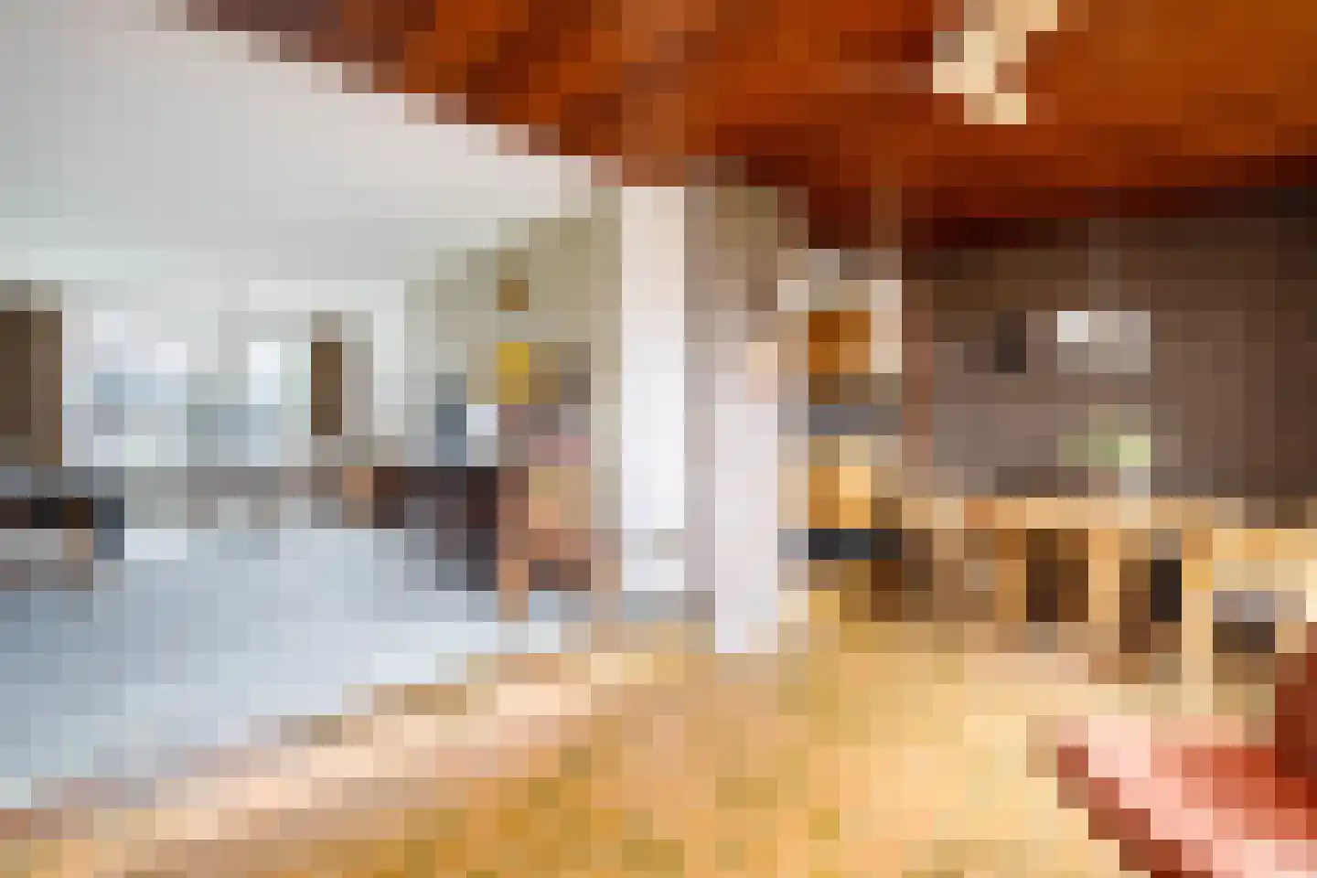 Koningin Julianastraat 39 Berkenwoude thumbnail 14