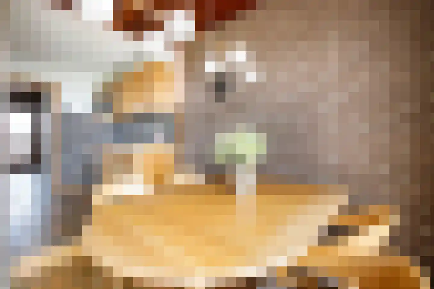 Koningin Julianastraat 39 Berkenwoude thumbnail 16