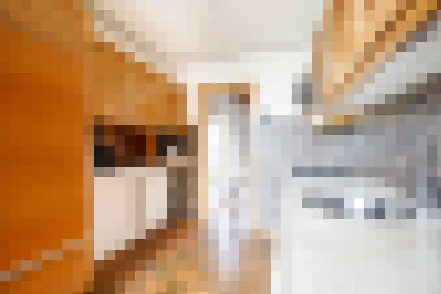 Koningin Julianastraat 39 Berkenwoude thumbnail 17