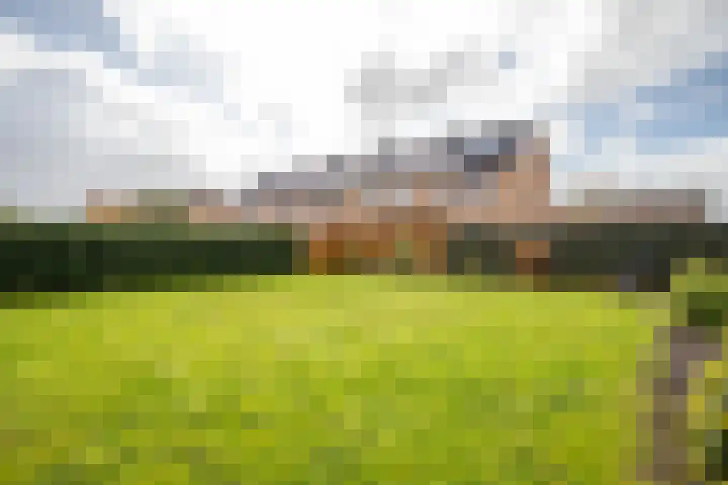 Koningin Julianastraat 39 Berkenwoude thumbnail 36