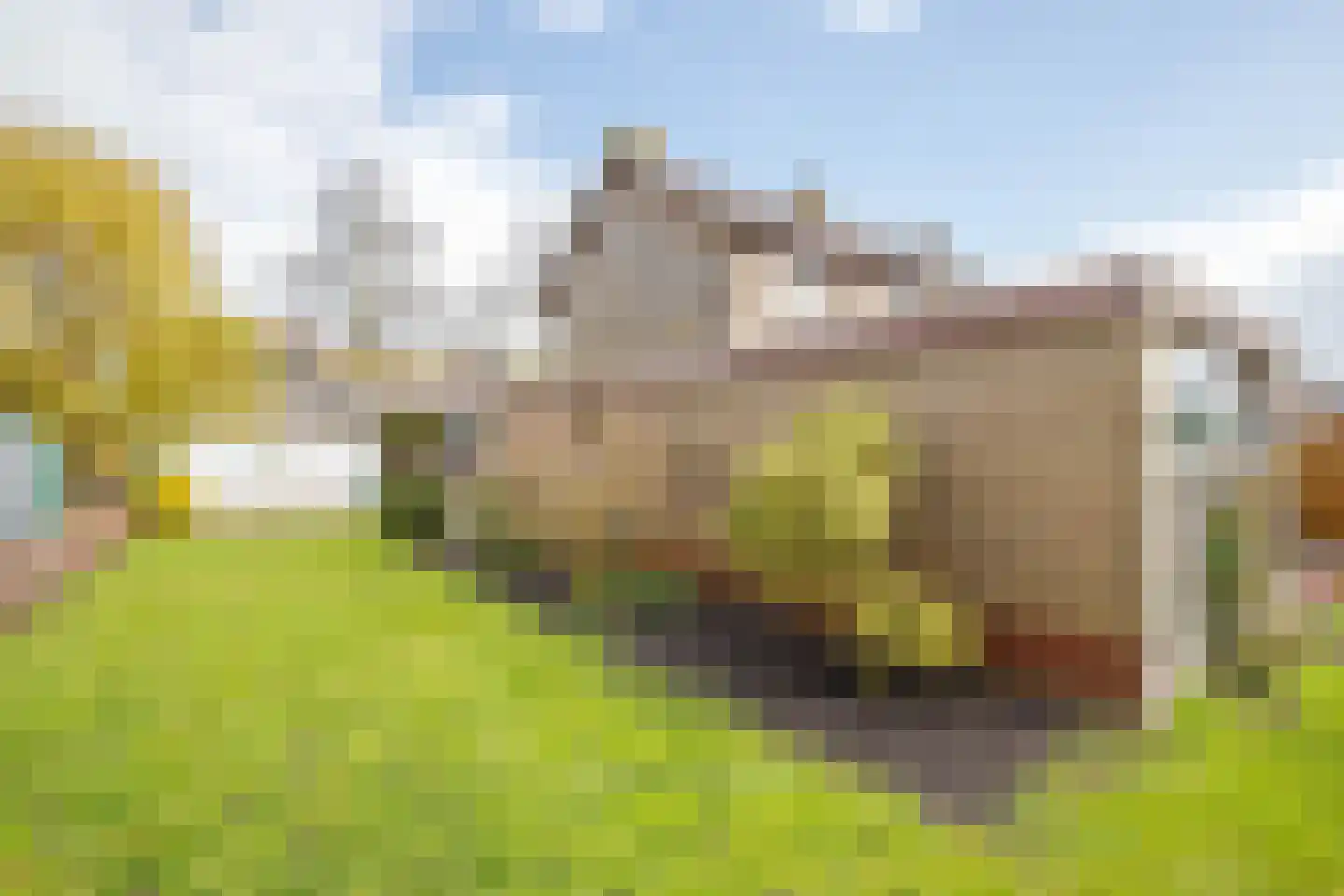 Koningin Julianastraat 39 Berkenwoude thumbnail 37