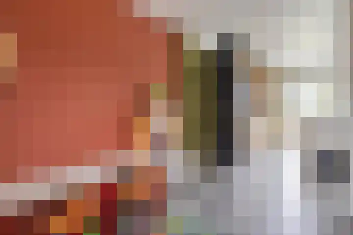 Koningin Julianastraat 39 Clinge thumbnail 12