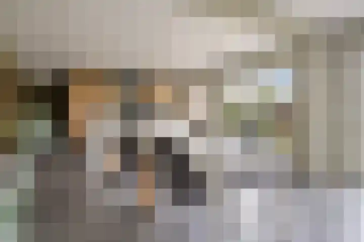 Koningin Julianastraat 39 Clinge thumbnail 14