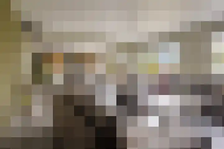 Koningin Julianastraat 39 Clinge thumbnail 15