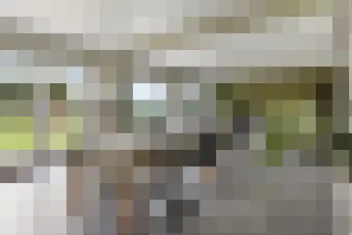 Koningin Julianastraat 39 Clinge thumbnail 16