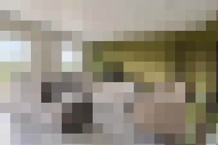 Koningin Julianastraat 39 Clinge thumbnail 17