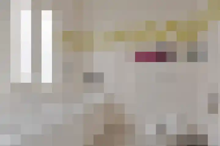 Koningin Julianastraat 39 Clinge thumbnail 20