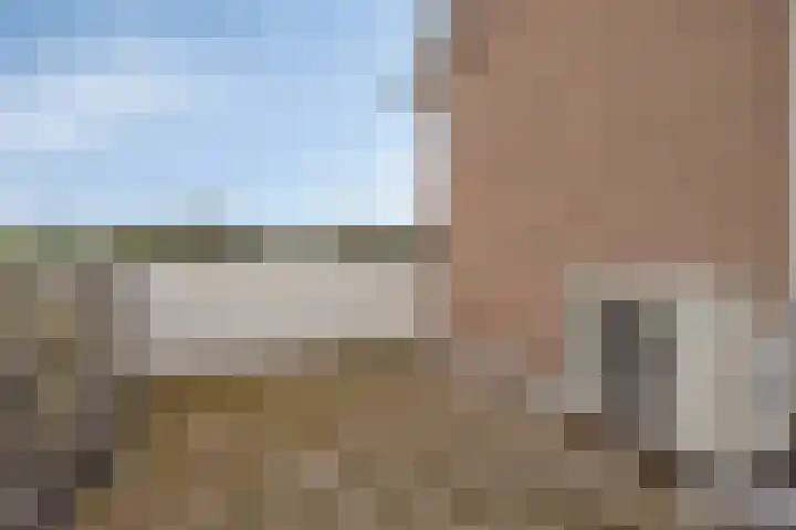 Koningin Julianastraat 39 Clinge thumbnail 24