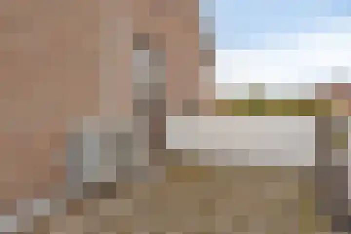Koningin Julianastraat 39 Clinge thumbnail 25