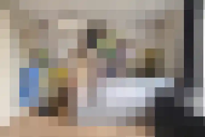 Koningin Julianastraat 39 Clinge thumbnail 31