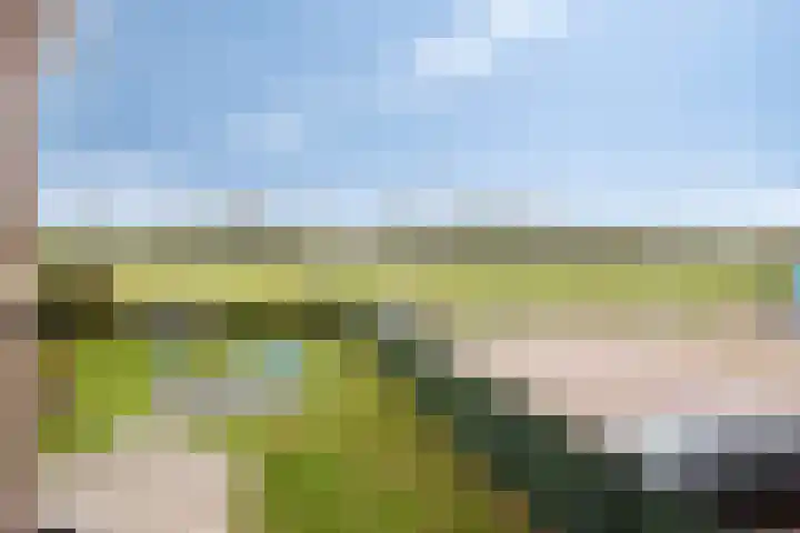Koningin Julianastraat 39 Clinge thumbnail 36