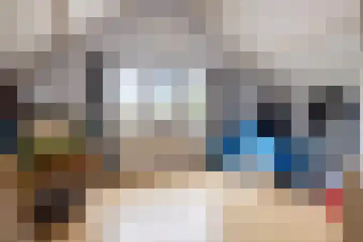 Koningin Julianastraat 39 Clinge thumbnail 38
