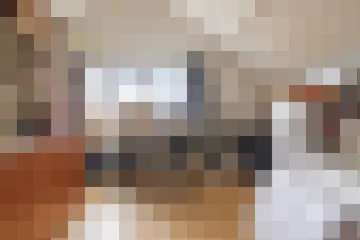 Koningin Julianastraat 39 Clinge thumbnail 40