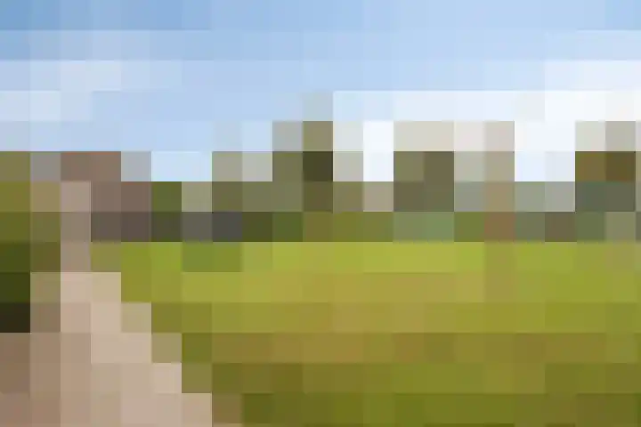 Koningin Julianastraat 39 Clinge thumbnail 42