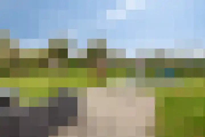 Koningin Julianastraat 39 Clinge thumbnail 43