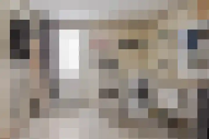 Koningin Julianastraat 39 Clinge thumbnail 45