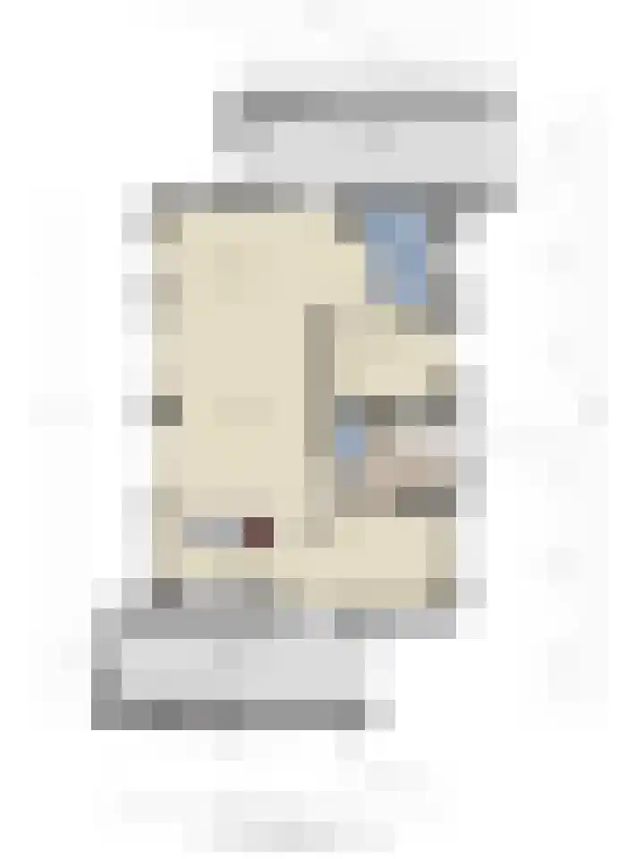Koningin Julianastraat 39 Clinge thumbnail 47