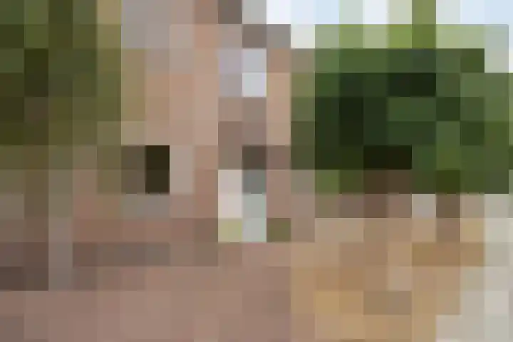 Koningin Julianastraat 39 Clinge thumbnail 5