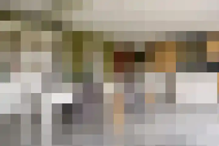 Koningin Julianastraat 39 Clinge thumbnail 8