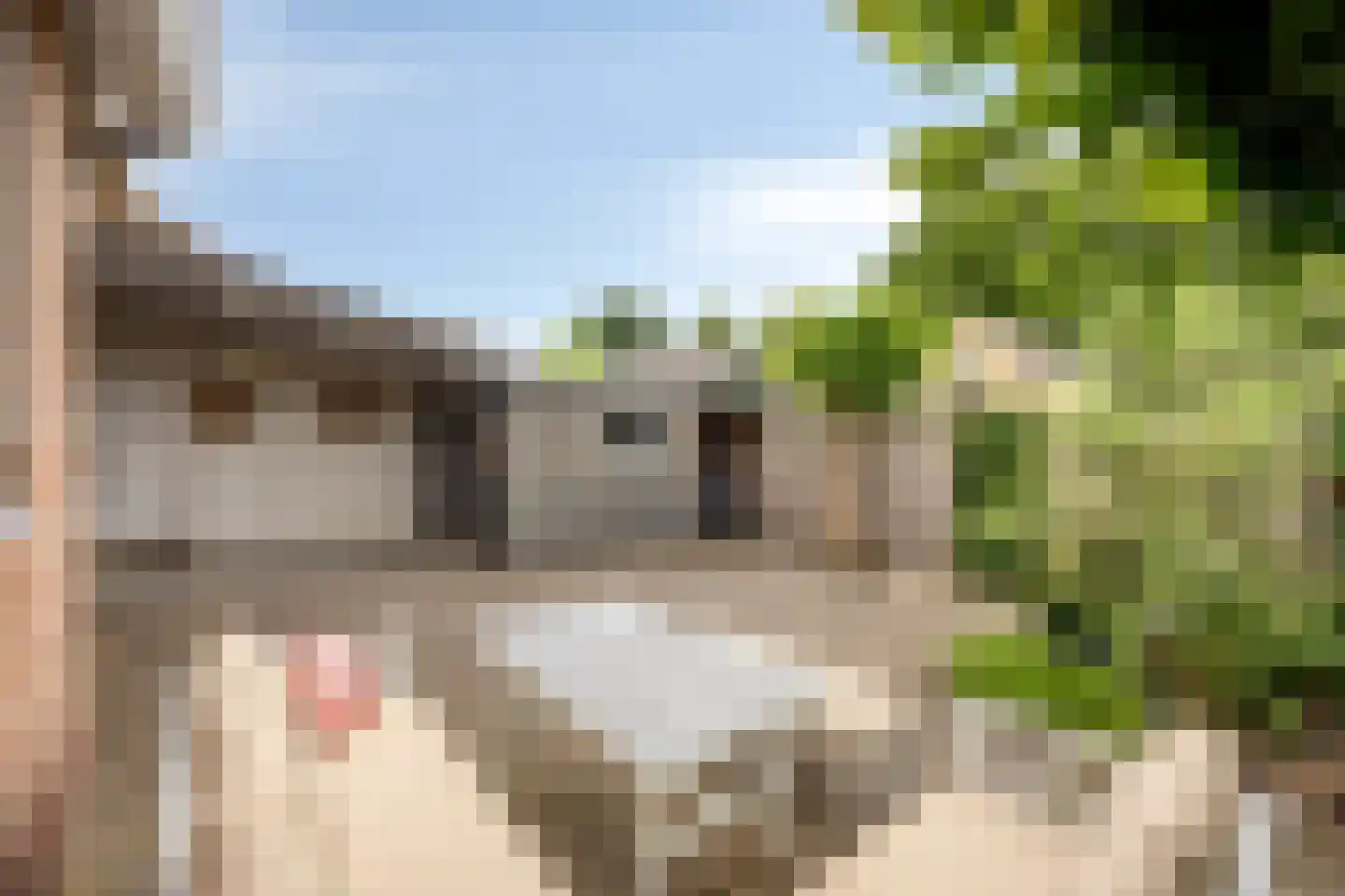 Koningin Julianastraat 4 Berkenwoude thumbnail 42