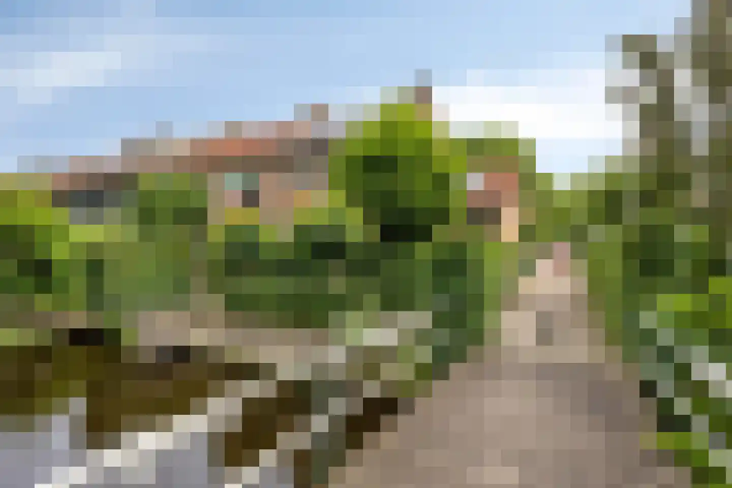 Koningin Julianastraat 4 Berkenwoude thumbnail 45