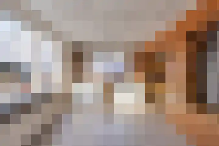 Koningin Julianastraat 4 Budel-Dorplein thumbnail 17