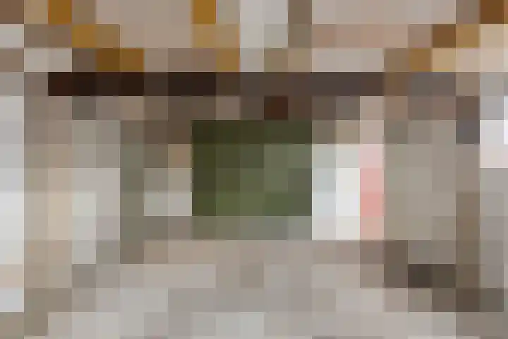 Koningin Julianastraat 4 Budel-Dorplein thumbnail 30