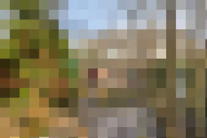 Koningin Julianastraat 4 Budel-Dorplein thumbnail 31