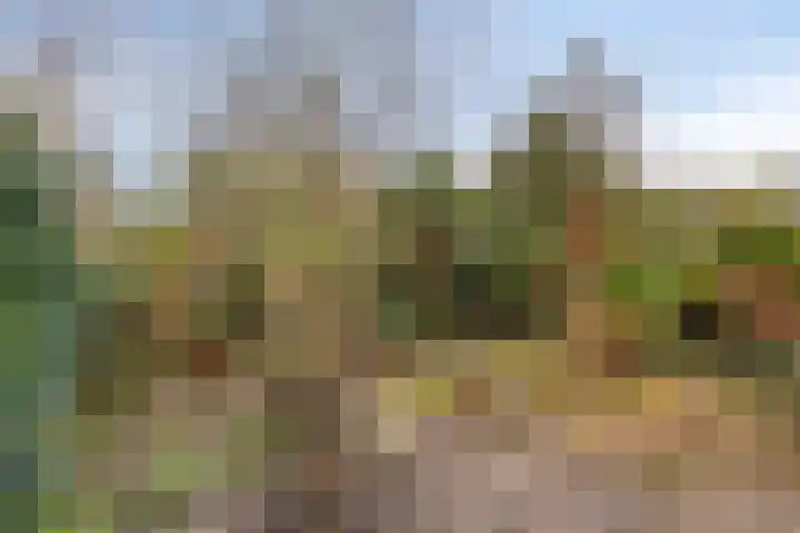 Koningin Julianastraat 4 Budel-Dorplein thumbnail 32
