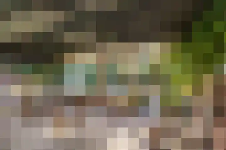 Koningin Julianastraat 4 Budel-Dorplein thumbnail 33