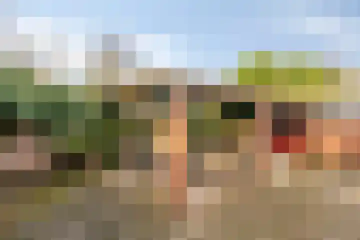 Koningin Julianastraat 4 Budel-Dorplein thumbnail 35