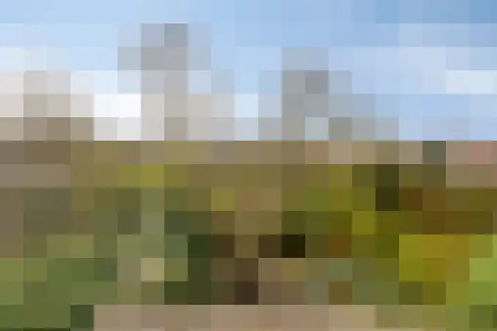 Koningin Julianastraat 4 Budel-Dorplein thumbnail 36