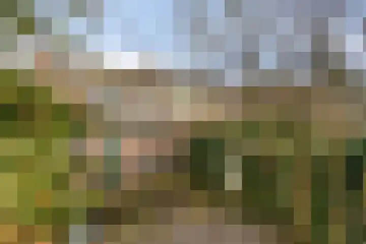 Koningin Julianastraat 4 Budel-Dorplein thumbnail 37