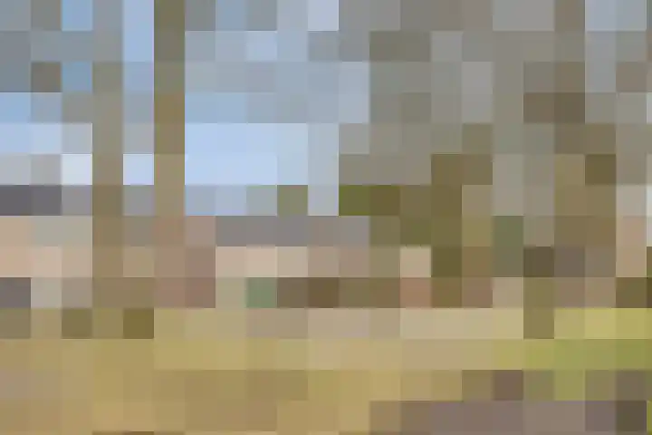Koningin Julianastraat 4 Budel-Dorplein thumbnail 43