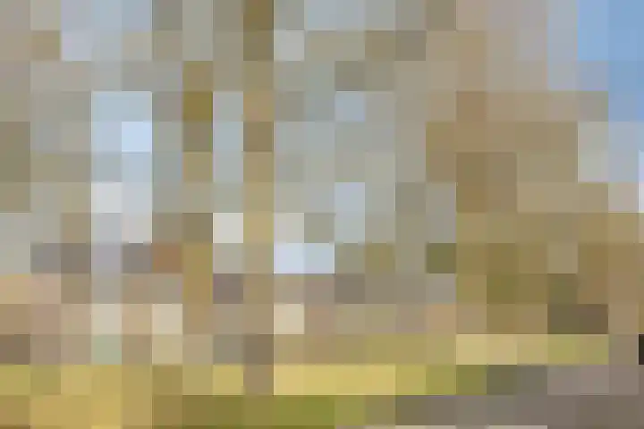 Koningin Julianastraat 4 Budel-Dorplein thumbnail 44