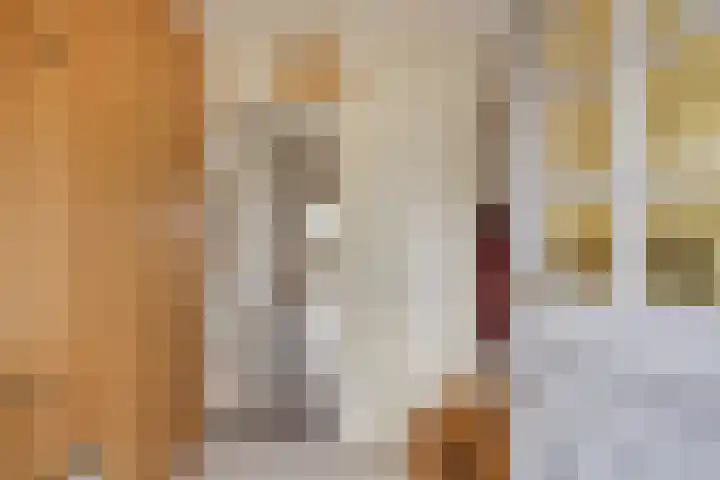 Koningin Julianastraat 4 Budel-Dorplein thumbnail 6