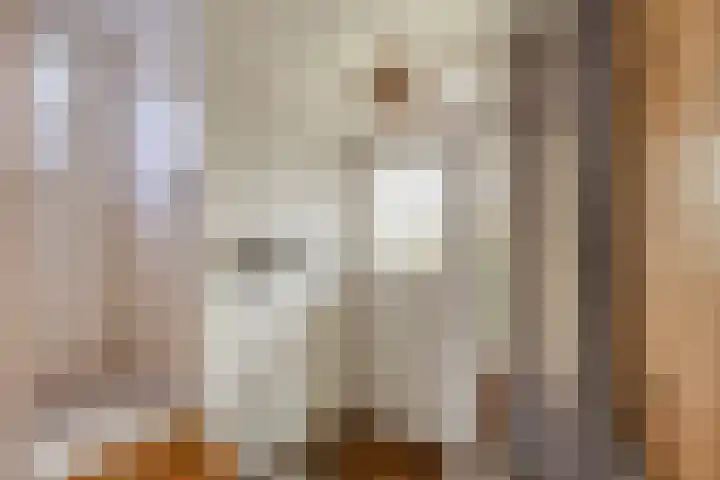 Koningin Julianastraat 4 Budel-Dorplein thumbnail 7
