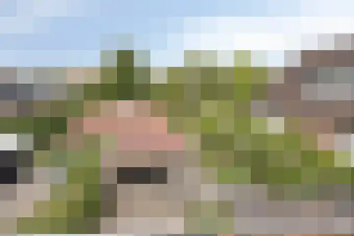 Koningin Julianastraat 4 Goudswaard thumbnail 19