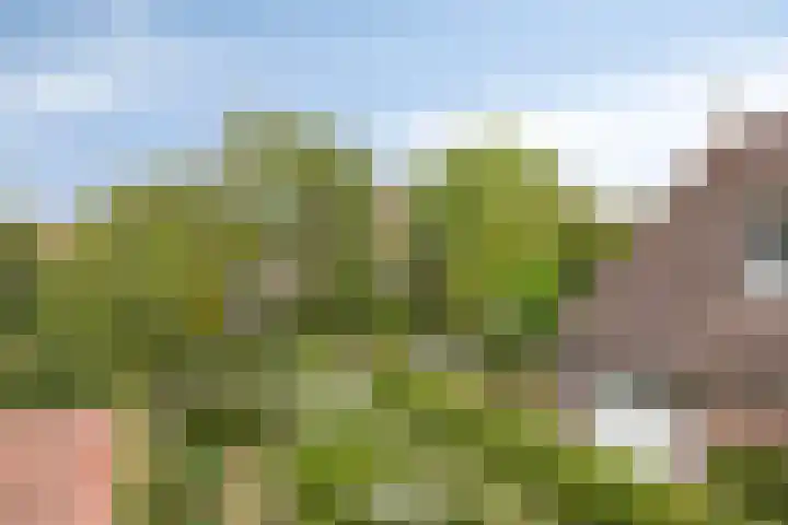 Koningin Julianastraat 4 Goudswaard thumbnail 20