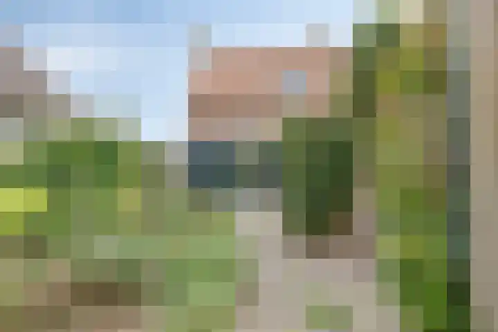 Koningin Julianastraat 4 Goudswaard thumbnail 28