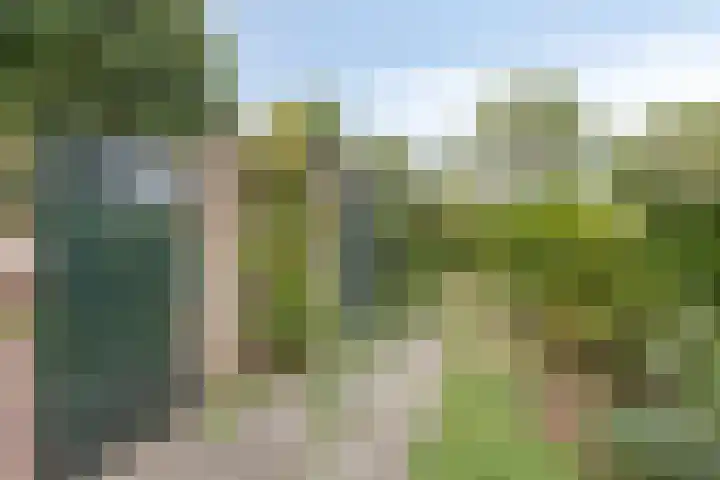 Koningin Julianastraat 4 Goudswaard thumbnail 30