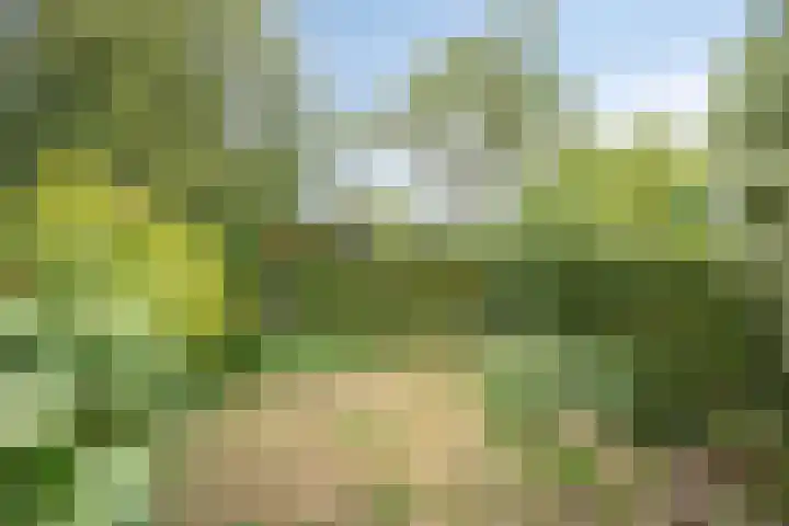 Koningin Julianastraat 4 Goudswaard thumbnail 31