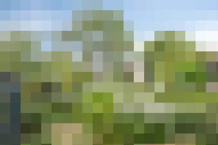 Koningin Julianastraat 4 Goudswaard thumbnail 32