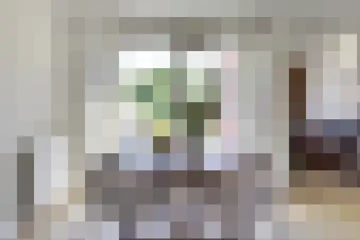 Koningin Julianastraat 4 Hoedekenskerke thumbnail 11