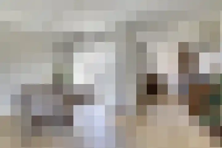 Koningin Julianastraat 4 Hoedekenskerke thumbnail 12