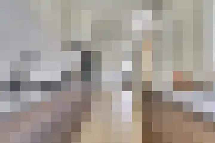Koningin Julianastraat 4 Hoedekenskerke thumbnail 13
