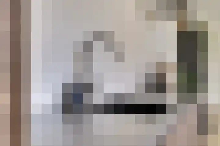 Koningin Julianastraat 4 Hoedekenskerke thumbnail 15
