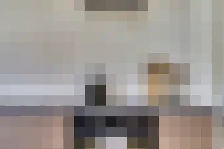 Koningin Julianastraat 4 Hoedekenskerke thumbnail 16
